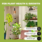 NorbBOTANIC Premium LED Grow Light, Full Spectrum PAR38 Bulb, 1350 Lumens, Energy-Efficient, Sun-Spectrum Mimics Sunlight, White Light, Perfect for Indoor Plants, Herbs, Tropical Plants, 16W 30 Degree