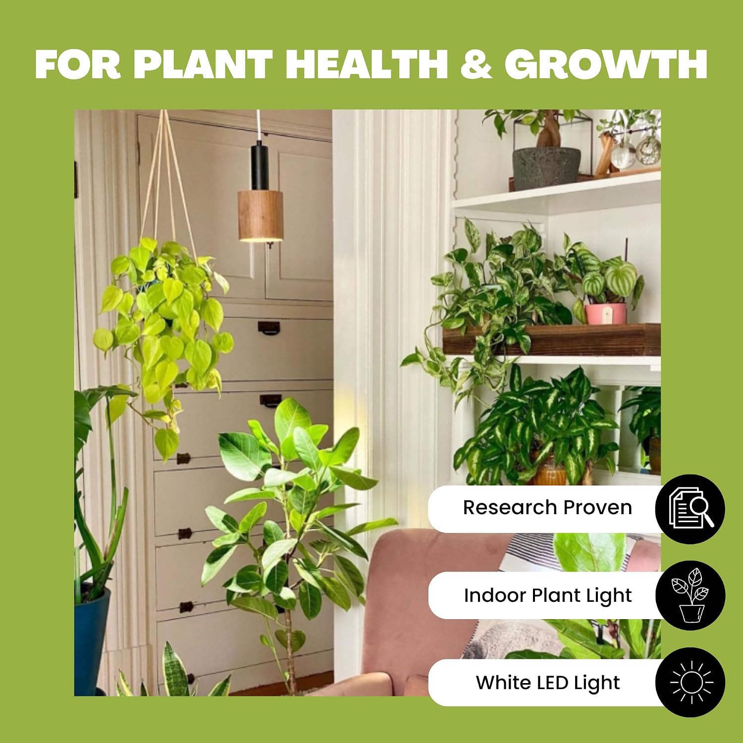 NorbBOTANIC Premium LED Grow Light, Full Spectrum PAR38 Bulb, 1350 Lumens, Energy-Efficient, Sun-Spectrum Mimics Sunlight, White Light, Perfect for Indoor Plants, Herbs, Tropical Plants, 16W 30 Degree