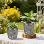 QCQHDU 2 Pack Self Watering Pots, 7.2 Inch Flower Pots with Drainage Holes and Water Filling Port, Garden Planter for Indoor Outdoor Plants (Gray)