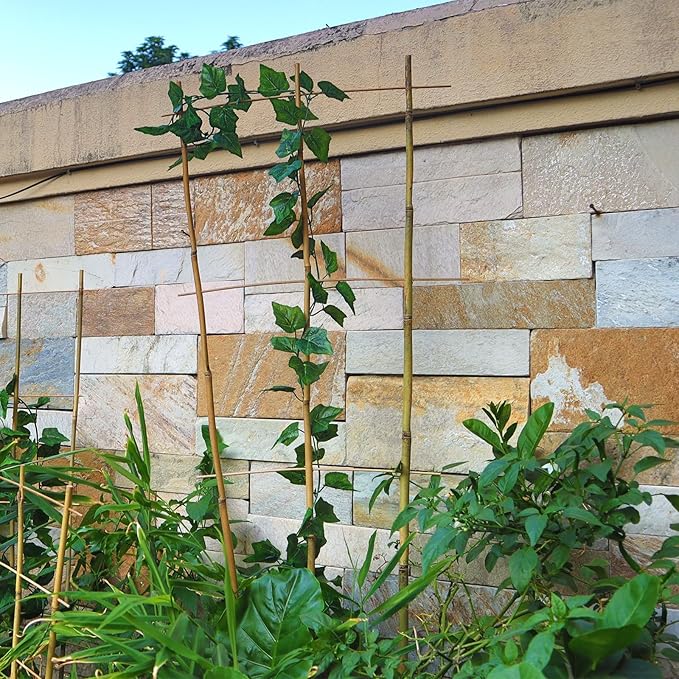 10 Pack 4ft Bamboo Trellis for Climbing Plants - Fan-Shaped Support Trellis for Potted Plant Decor in Door
