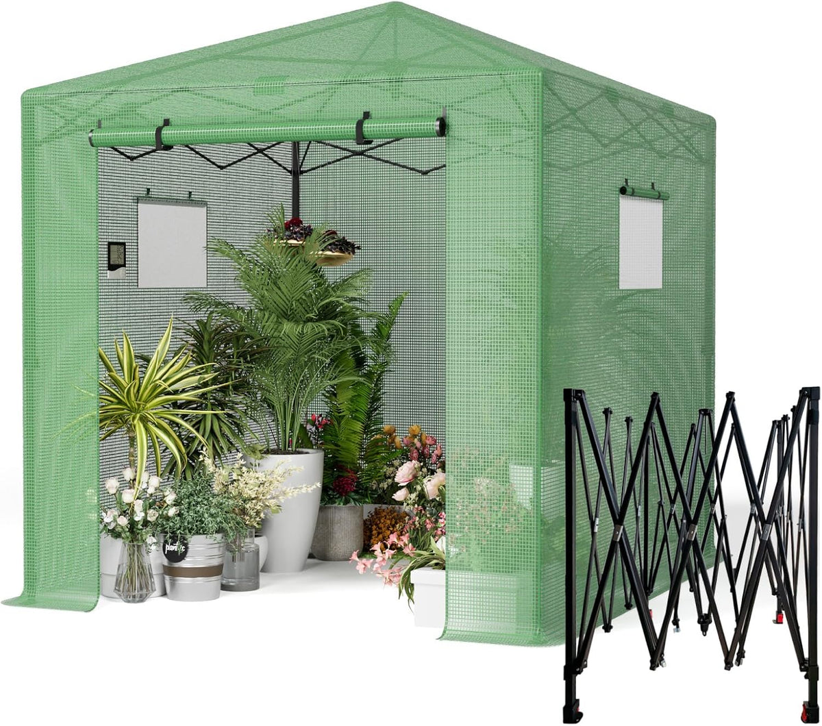 8x6 ft walk‑in green house for outdoors, pop‑up, main product view
