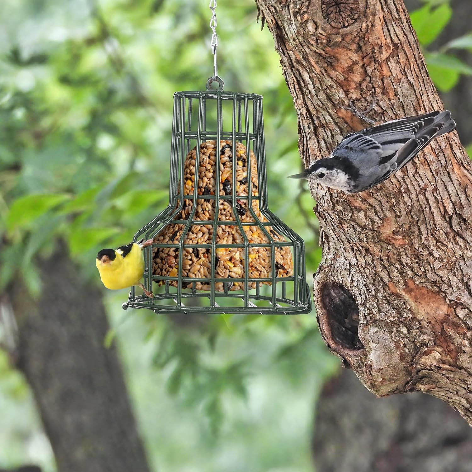 2 Pcs Bird Seed Bell Feeders S-8 Seed Cake Bell Wild Bird Feeder Outdoor Garden Cages Hanger with Stainless Steel Chain for Outside