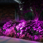 T-SUN [2 Pack] LED Solar Spotlights, Waterproof Outdoor Security Landscape Lamps, Auto-on/Auto-Off by Day, 180 Angle Adjustable for Tree, Patio, Yard, Garden, Driveway, Stairs, Pool Area(Purple)