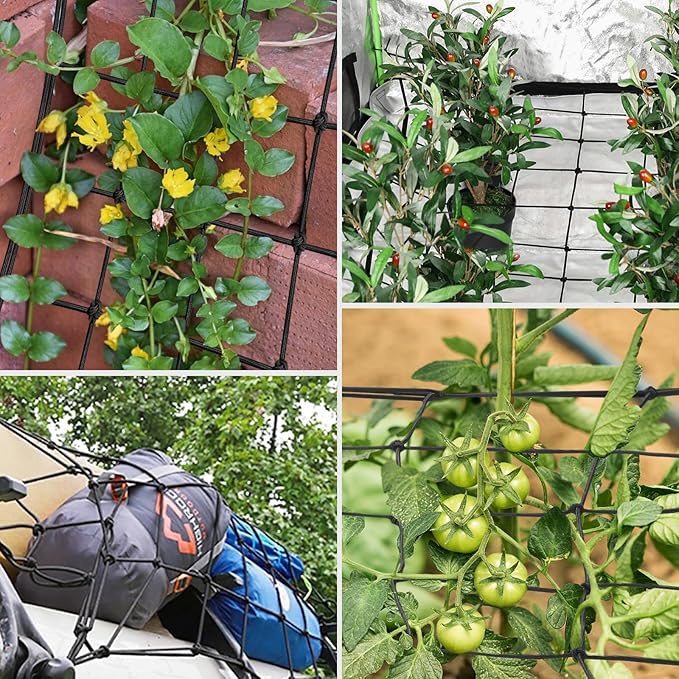 VIVOSUN 3 x 3Ft. Elastic Trellis Netting with 4 Hooks for Climbing Plants, Vegetables, Fruits, and Flowers, 2-Pack