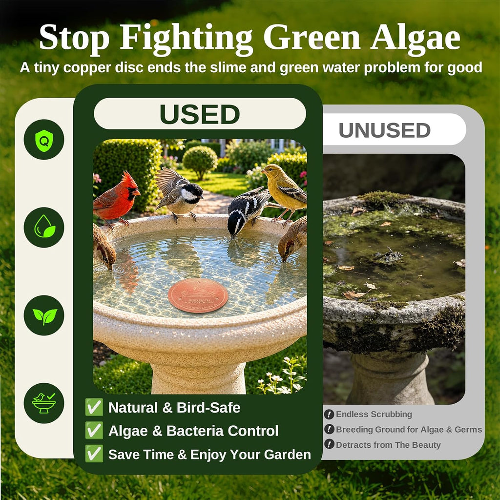 Copper Disc for Bird Bath, 99.9% Pure Copper (Cardinal) | Triple Point Support, Fits Bird Baths & Bowls, Reduces Mineral Buildup, Gift for Bird Lovers, Outdoor Garden Use