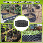 60 Gallon Air Pruning Container, Raised Garden Bed New Plastic Nursery Pot Fruit Vegetable Garden Grow beds (4 ft Diameter), Black
