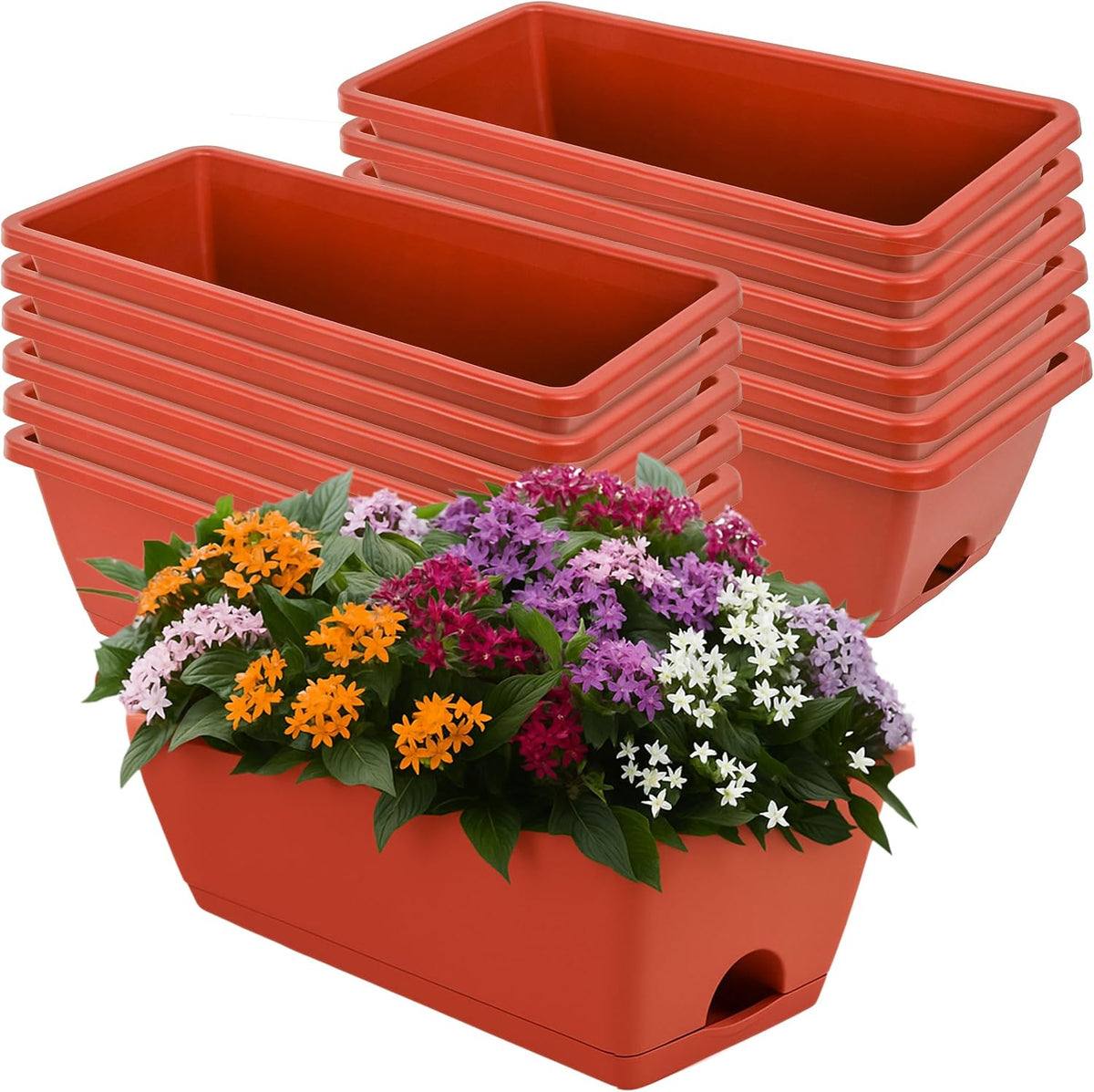 loconha 12 pack window box planter, plastic vegetable, main product view