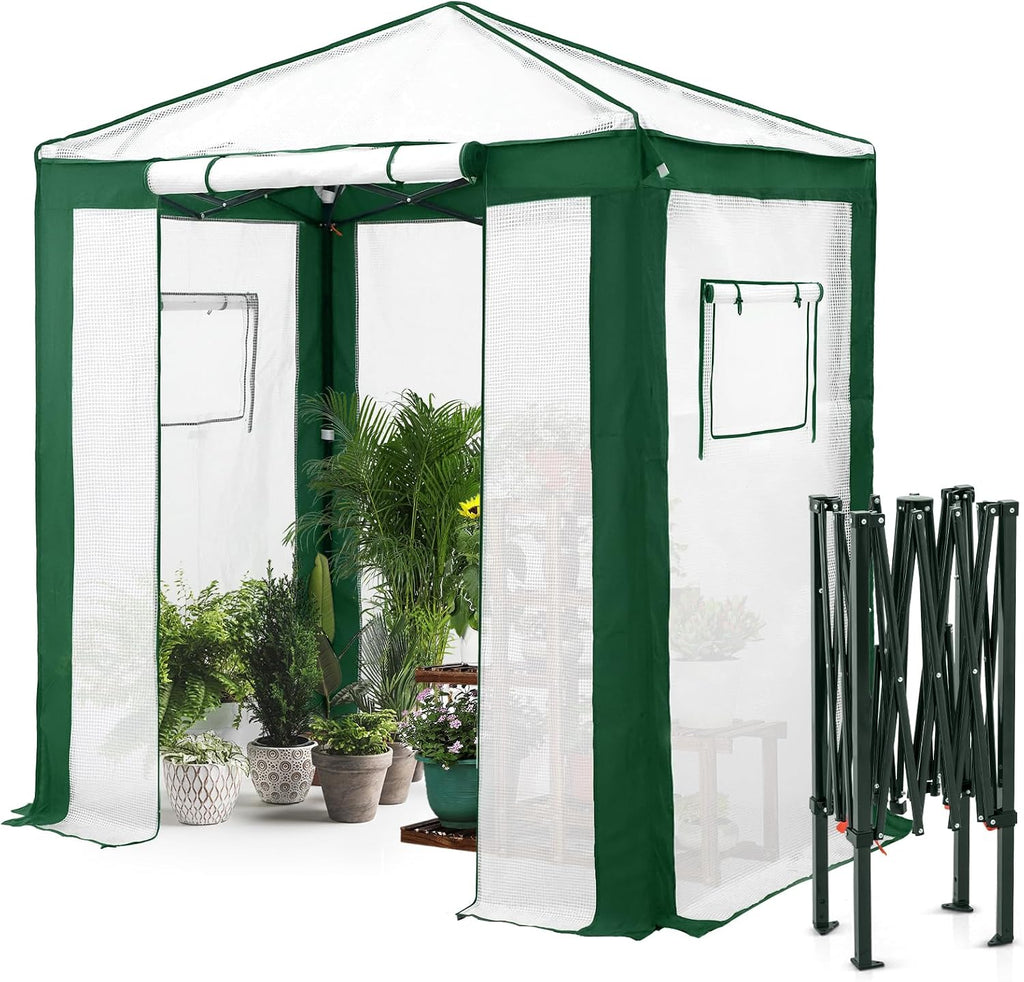 eagle peak 6x4 walk in pop up greenhouse, main product view