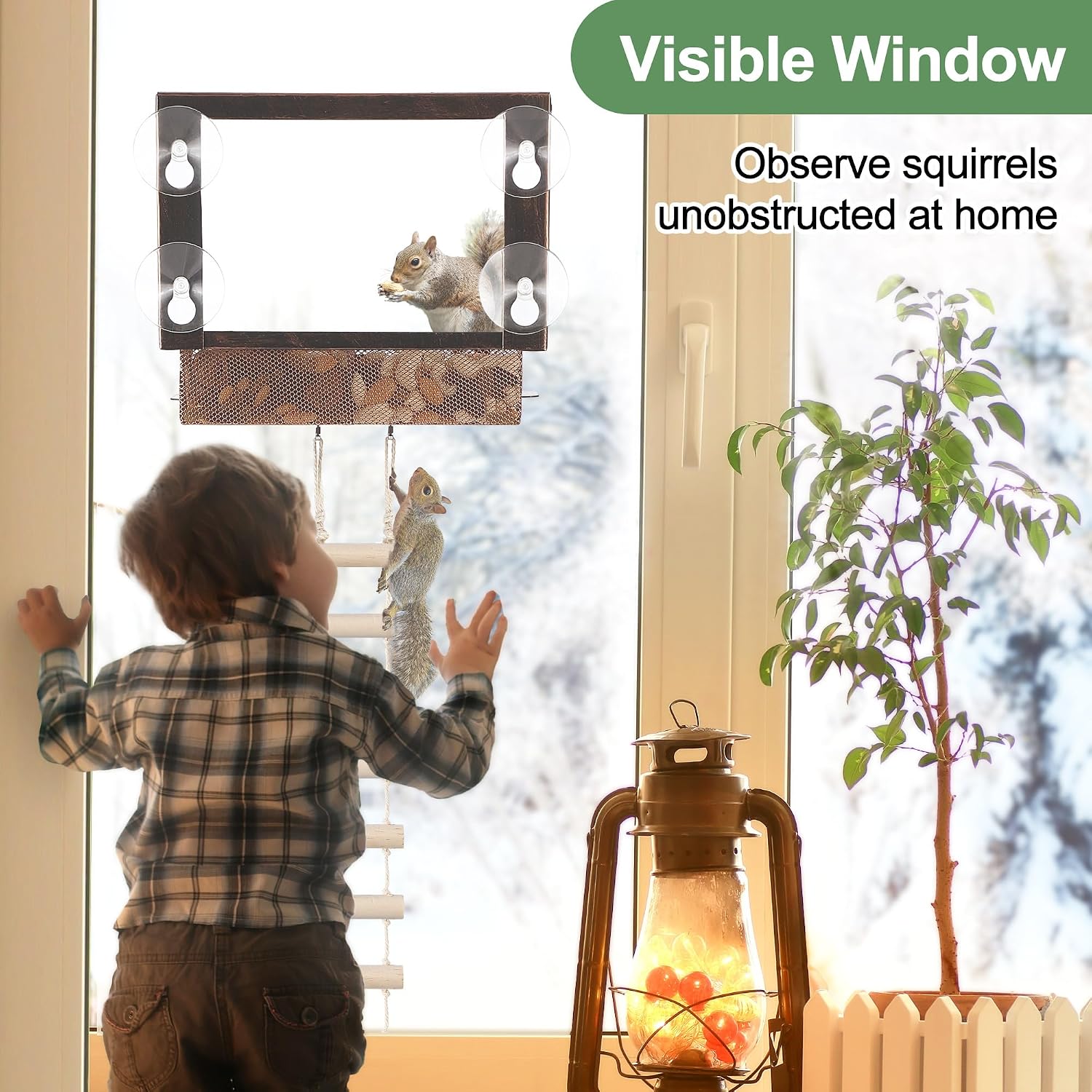 Window Squirrel Feeder, Metal, Strong Suction Cups & Ladders | Squirrel Feeders for Outside Winter, Safe Funny Chipmunk Feeder, Feeding Shelter for Squirrels for Corn Peanuts