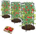 tomato cages, square tomato plant stakes support cages, main product view