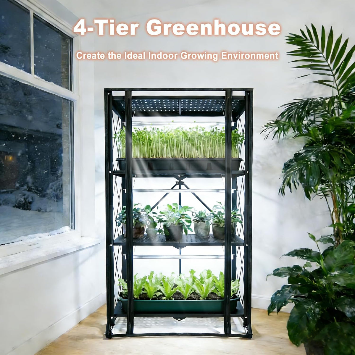 indoor greenhouse with grow light, 4-tier foldable, 28.2x14.2x50in shown in use