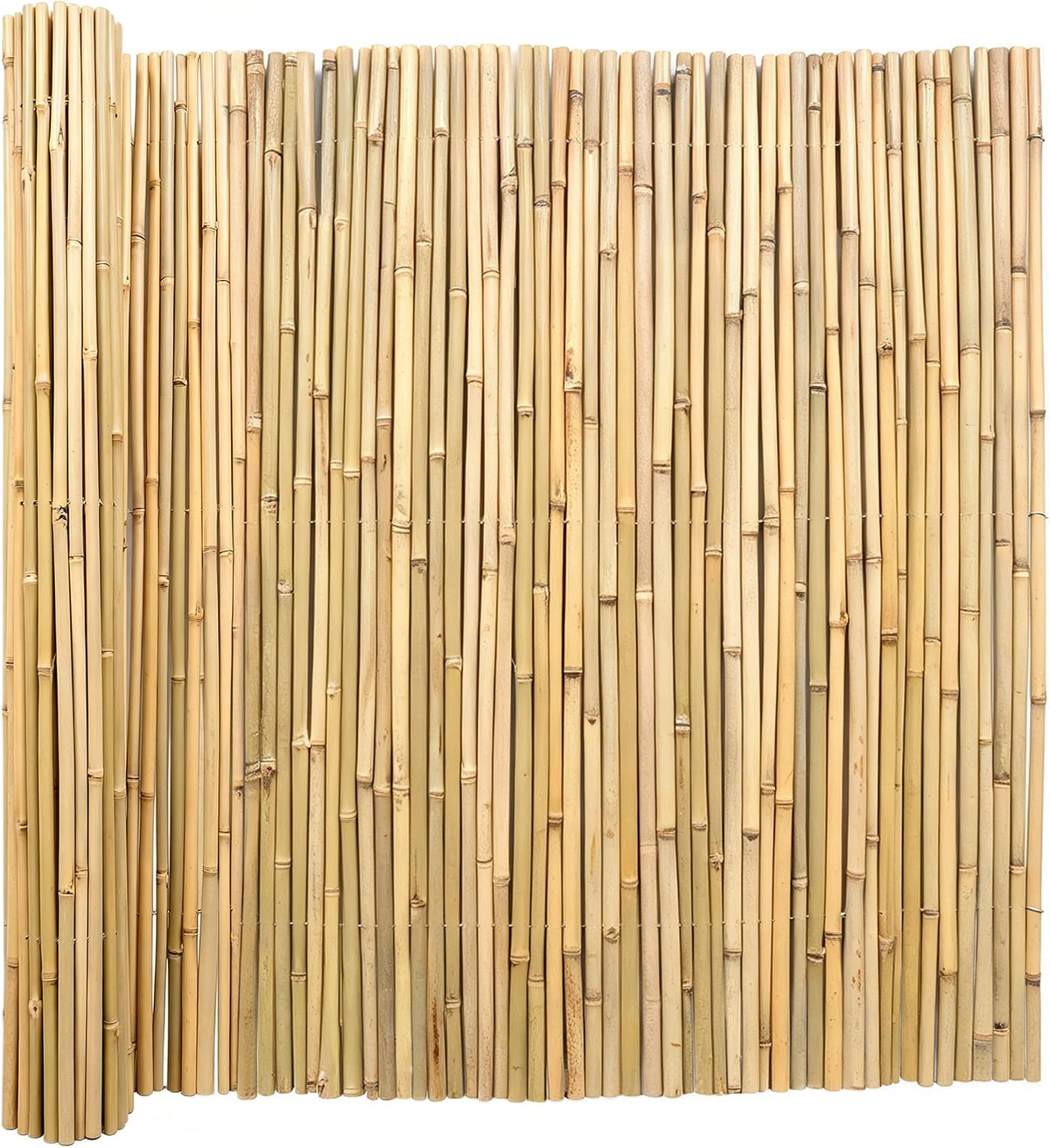 natural bamboo fence, 4 ft x 6 ft, main product view