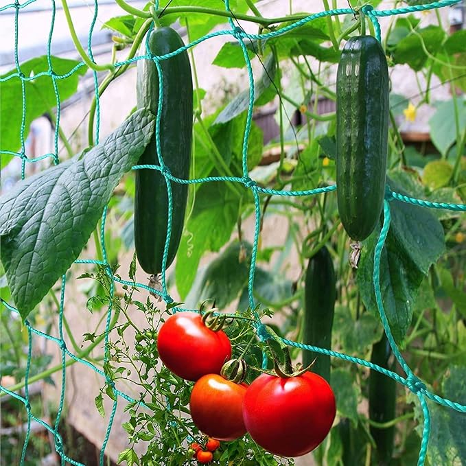 Pack of 2 Cucumber Tomato Trellis Netting, Heavy Duty Garden Netting for Climbing Plants Support, Pea, Grape, Bean, Fruit, Vegetables - 4" Mesh Size, 6Ft x 12Ft