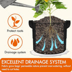 Gardzen 6-Pack 2 Gallon Grow Bags, Aeration Fabric Pots with Handles, Heavy Duty Cloth Pots for Plants