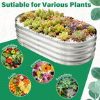 TATAANTY Galvanized Raised Garden Bed for Outdoor: 4X2X1ft Durable Metal Vegetable Plant Container Kit - Oval Planter Box for Gardening Flower Trough （2 Pack）