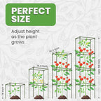 Tomato Cage Square - Large Trellis Stakes and Plant Support Structures for Vegetables and Climbing Plants - Tall Tomato Cages for Garden, Pots, Raised Garden Bed Outdoor Supplies (6 Pack - Up to 58")