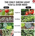 helloify A19 LED Plant Grow Light Bulb, 9W, Equivalent 100W, DIY Horticulture & Indoor Gardening, Growing Light for Indoor Plants, Flowers, Greenhouse, 2 Count, White and Red spectrum(Pink)