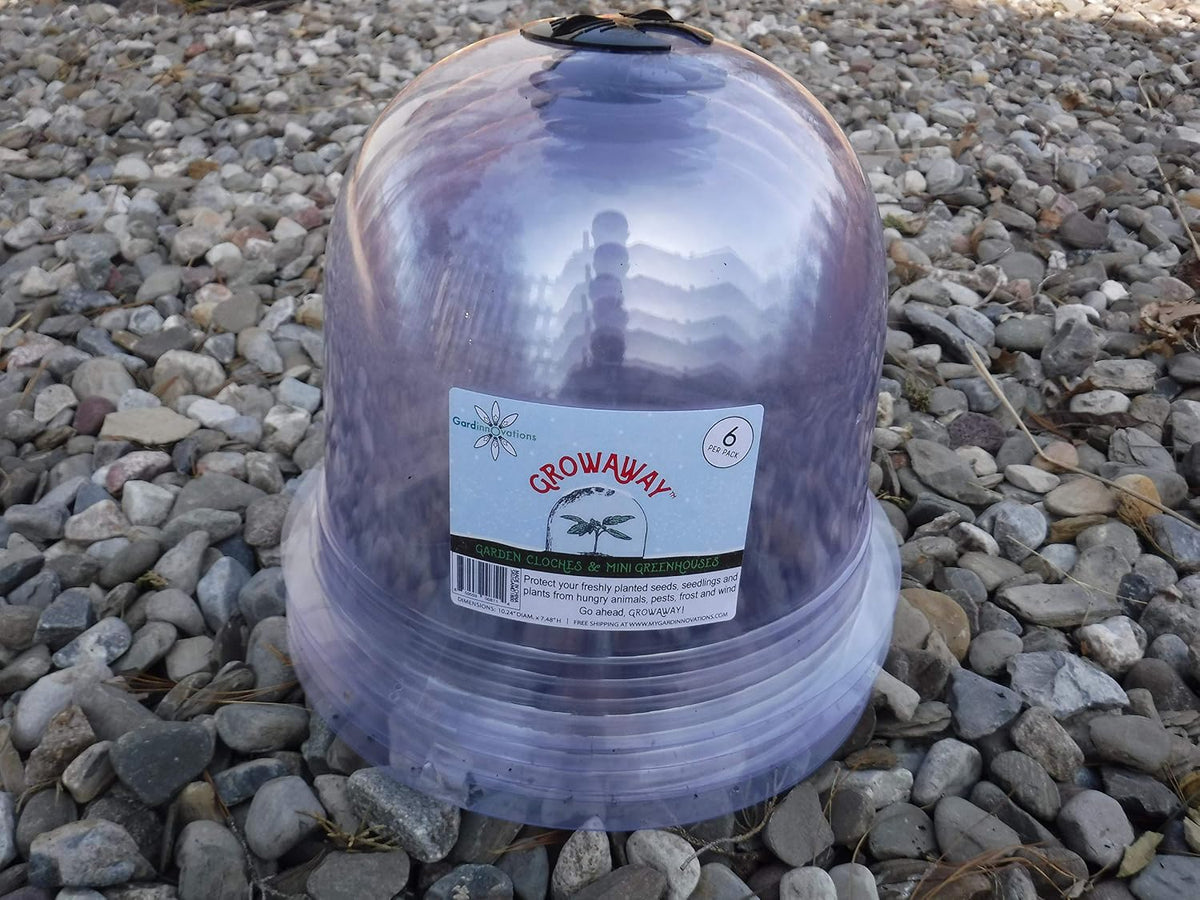 ! growaway medium reusable plastic mini greenhouse, cloche showing dimensions