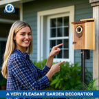 SISTERBIRD Pack of 2 Bluebird Houses for Outside, Premium Wooden Bird House, Bluebird House for Outdoor, Courtyard Decoration Bird Nest, Bluebird Finch Swallow Wren Chickadee