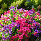 Artificial Flowers for Outdoor, UV Resistant Fake Silk Flowers, Realistic Faux Plants for Outside Indoor Porch Patio Window Box Planter Home Decor (14, Purple Rosy)