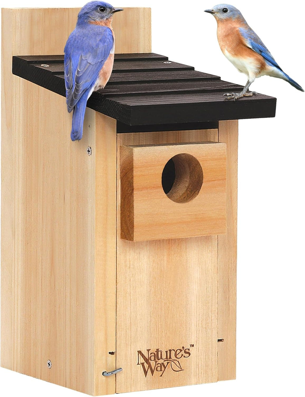 Nature's Way Bird Products CWH3 Cedar Bluebird Box House