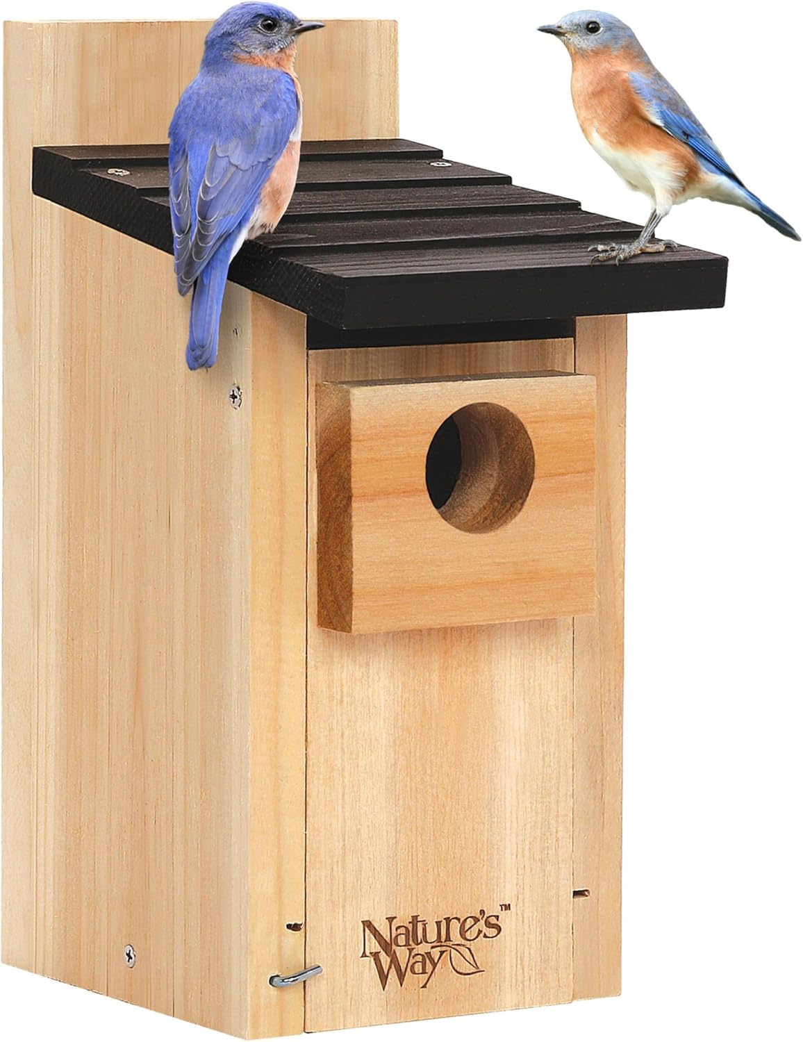 Nature's Way Bird Products CWH3 Cedar Bluebird Box House