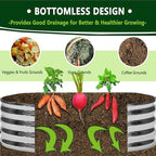 2PCS 2x2x1FT Galvanized Raised Garden Bed Kit,Vegetable Boxes-Round Metal Flower Box,Large Planter Raised Beds Outdoor Garden for Planting,Fruit,Herb-Silver