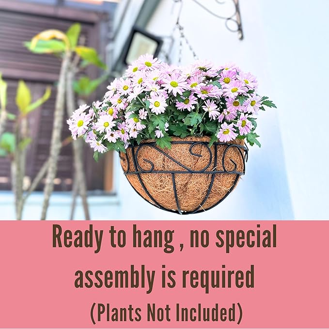 LaLaGreen Hanging Planter for Outdoor Plants (10 Inch, 6 Pack) Hanging Baskets with Coco Liner, Black Metal Wire Flower Basket Pots with Hook Hanger Balcony Porch Farmhouse Country Style Garden Decor