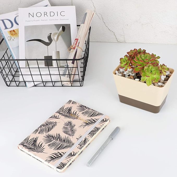 SUREAM Succulent Pots with Tray, 3 Pack 6 x3.8 Inch Herb Window Boxes Office Cactus Planters Plastic Rectangle Plants Containers with Saucer for Windowsill, Garden Balcony, Porch
