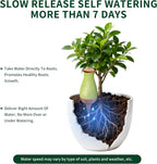 Soilagua 16 oz Drip Irrigation Stakes, Large Plant Watering Globes, Olla Pots Plant Watering Devices, Self Watering Planter Insert, Watering Spikes for Outdoor Indoor Everyday Vacation Use, 4-Pack