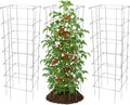 garden elements square tomato cage, 58 inch (pack, main product view