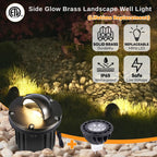 Landscape In Ground Well Lights - Brass LED Low Voltage Electric Ip65 Lights, 12V Wired Fixture, Antique Bronze for Driveway Tree Patio with 5000K Daylight White MR16 Bulb