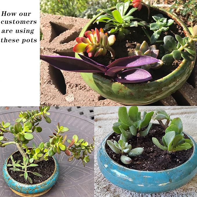 ARTKETTY Succulent Pots - 10 Inch Ceramic Bonsai Pots with Drainage Stand, Large Shallow Planters for Indoor Plants Decorative Garden Cactus Flower Plant Container Bowl
