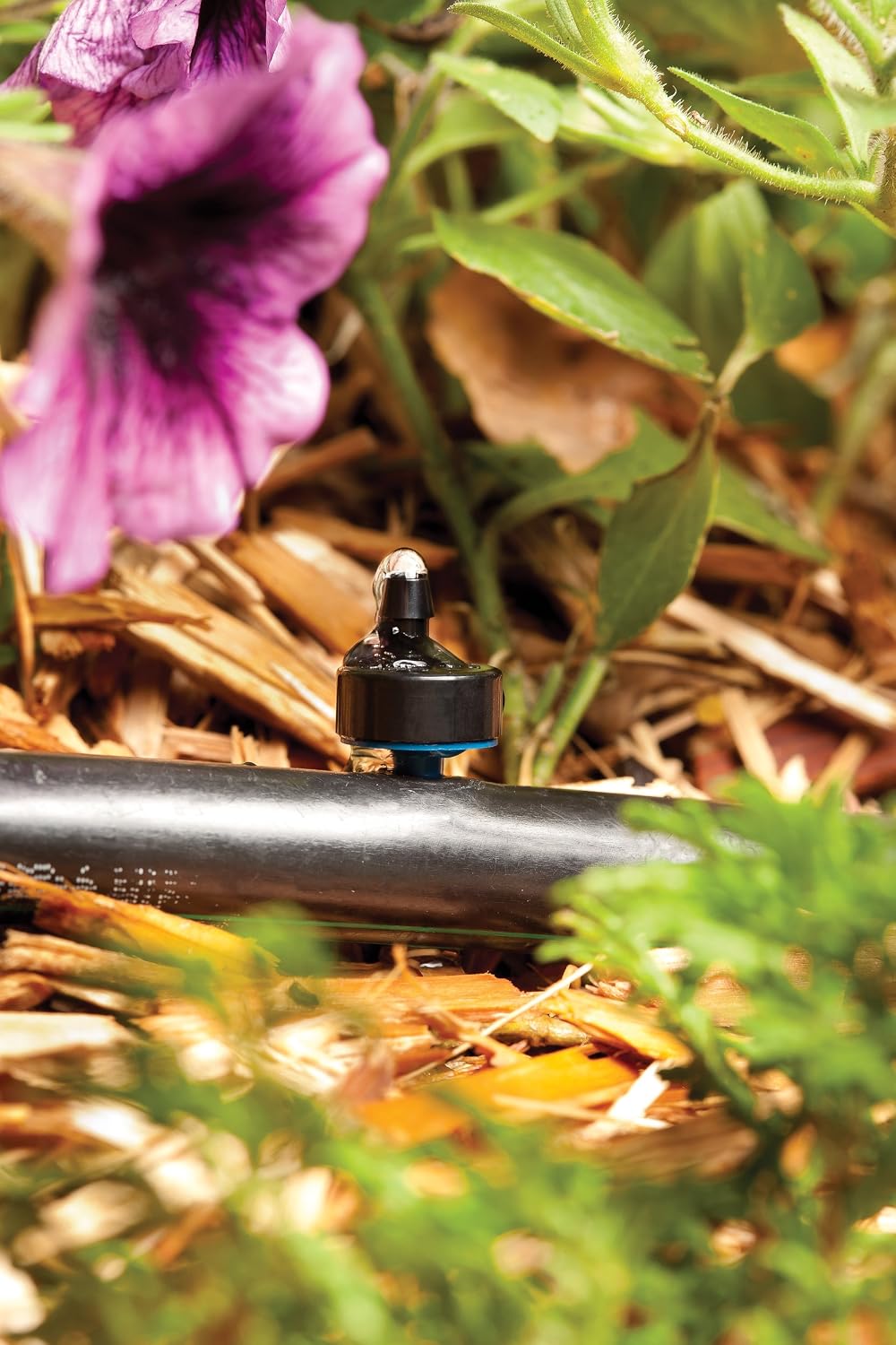 Rain Bird BUE05-25S Drip Irrigation Button Dripper/Emitter, 0.5 (1/2) Gallon Per Hour, 25-Pack