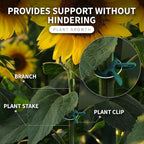 Plant Clips 40 Piece Green Gentle Gardening Plant & Flower Lever Loop Gripper Clips, Tool for Supporting or Straightening Plant Stems, Stalks, and Vines, Garden Clips, by RamPro