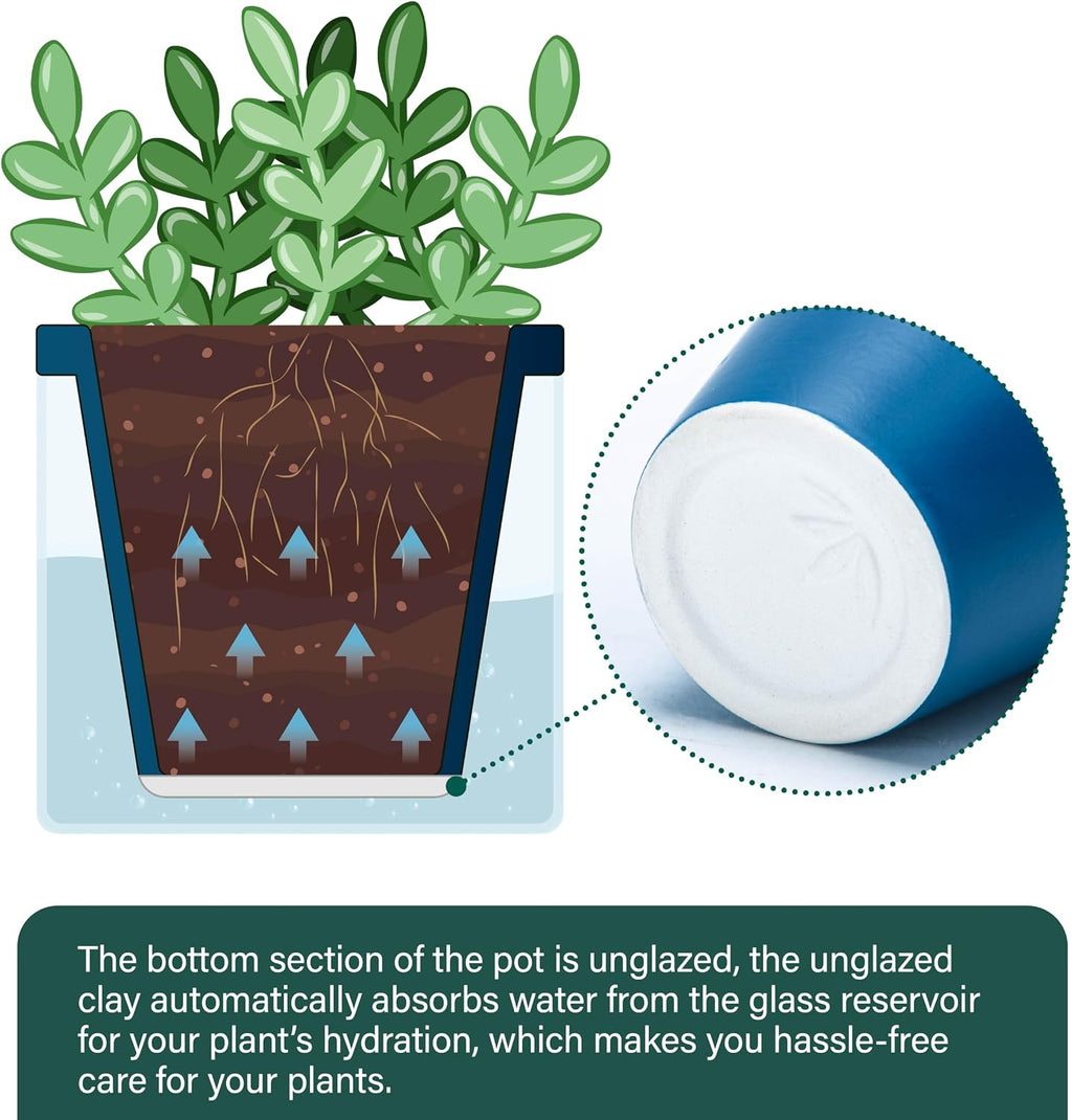 d'vine dev self-watering blue terracotta planter, 4 in showing dimensions