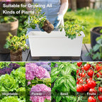 Window Box Planter 6 Pcs, 17 Inches Rectangle Flower Pots with Drainage Holes and Trays, Vegetable Planters for Windowsill Patio Garden Balcony Home Porch Yard Indoor Outdoor (White, 17*7.4*7.8 inch)