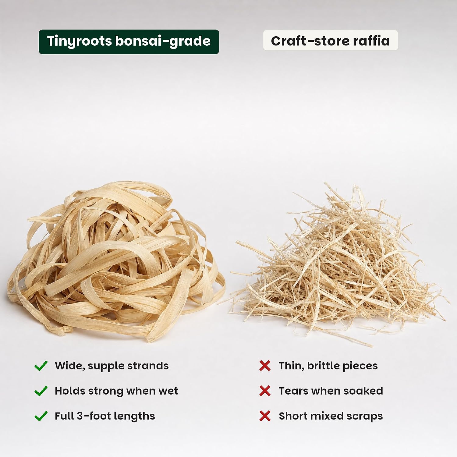 Bonsai Tree Raffia - Bonsai Plant Branch Protection + Bonsai Wiring Aid for All Tree Sizes