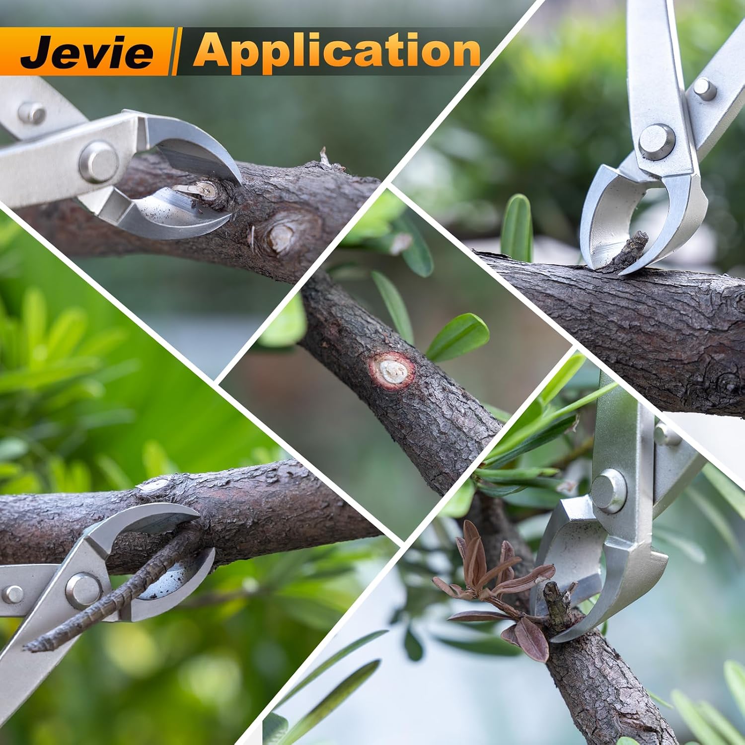 8 inch Concave Cutter, Stainless Steel Cutter for Bonsai & Gardening Pruning, Supplied By Jevie (Diagonal)