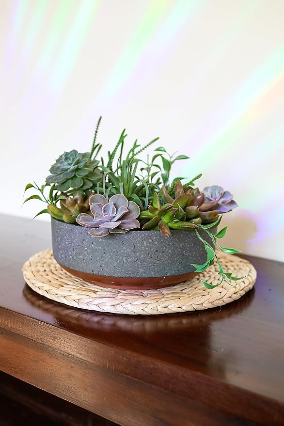 The HC Companies 8 Inch Round Plastic Succulent Capri Bowl Decorative Indoor Flower Succulent Planter Pot with Drain Plug Hole, Faux Concrete Color with Copper Bottom Color (2 Pack)