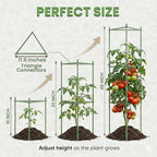 Tomato Cage - Large Trellis Stakes and Plant Support Structures for Vegetables and Climbing Plants - Tall Tomato Cages for Garden, Pots, Raised Garden Bed Outdoor Supplies (6 Pack - Up to 48")