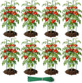 48in adjustable metal tomato cages for garden, main product view