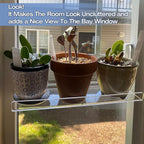 2 Pack 12 Inch Acrylic Window Boxes Plant Shelves, with Suction Cup Window Sill Extender, for Indoor/Outdoor Succulents, Micro Greens, Seed Starter Pots, Herb Planters