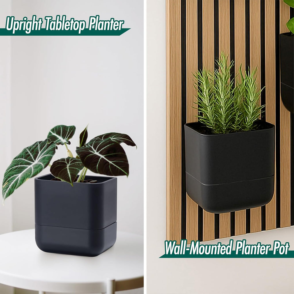 Phoenix Vine 6.5 Inch Wall Mounted Self-Watering Planter Pot for Indoor Houseplants and Herbs | Hanging Planter for Window Sills, Bathroom Walls, Home & Office Décor, Black, Set of 3, 01-C-E-3