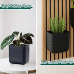Phoenix Vine 6.5 Inch Wall Mounted Self-Watering Planter Pot for Indoor Houseplants and Herbs | Hanging Planter for Window Sills, Bathroom Walls, Home & Office Décor, Black, Set of 3, 01-C-E-3