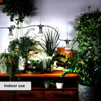 grow light bulbs led growth bulb a25, full, front angle view