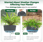 T4U 12 Inch Large Hanging Planters for Outdoor Plants, 2 Pack Self Watering Pots Indoor, Hanging Baskets for Plants,Hanging Flower Pot with Drainage Hole and Plant Hanger, Grey