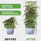Tomato Cage Square - Large Trellis Stakes and Plant Support Structures for Vegetables and Climbing Plants - Tall Tomato Cages for Garden, Pots, Raised Garden Bed Outdoor Supplies (6 Pack - Up to 58")