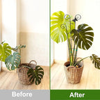 COOMIN 30'' Monstera Plant Support Outdoor, Metal Expandable Plant Supports for Indoor Plants, 2P Garden Trellis for Climbing Plants Indoor - Ivy, Pothos, Philodendron, Hoya