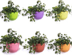 ORIMERC 6 Pcs Colorful Resin Wall Hanging Planter Pot Vertical Garden Living Wall Mount Window Hang Indoor Outdoor for Kitchen Herb Balcony Railing Shelf Fence Bedroom Trellis Décor